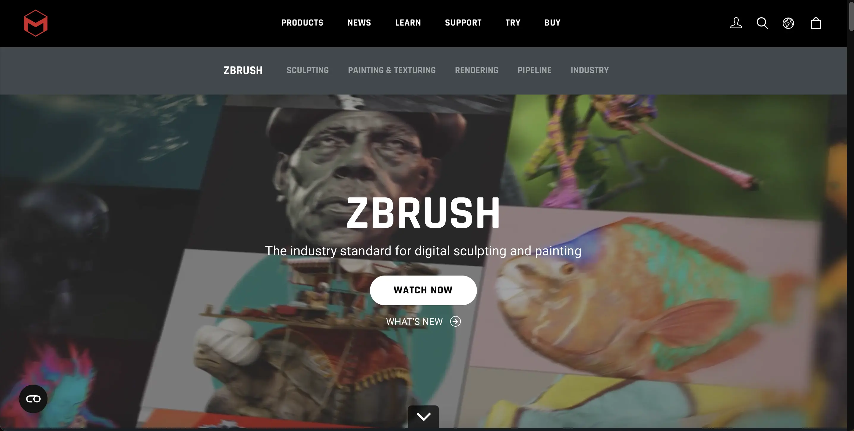 ZBrush वेबसाइट