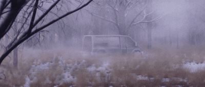 fog