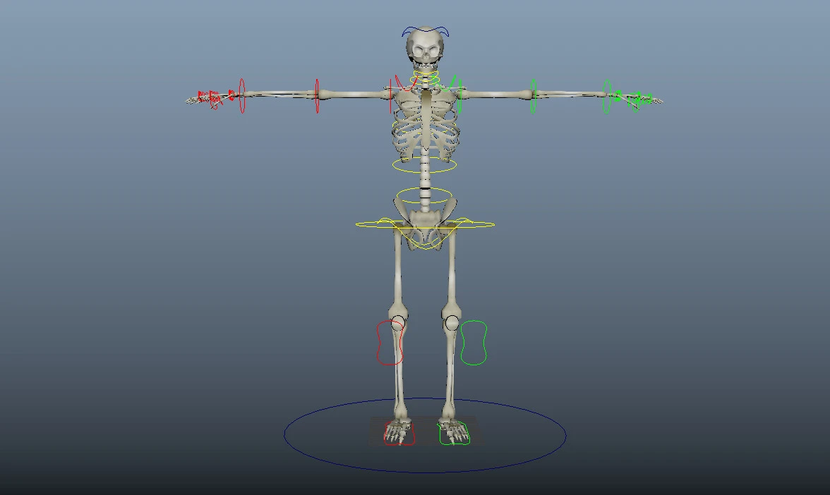 skeletal-rigging