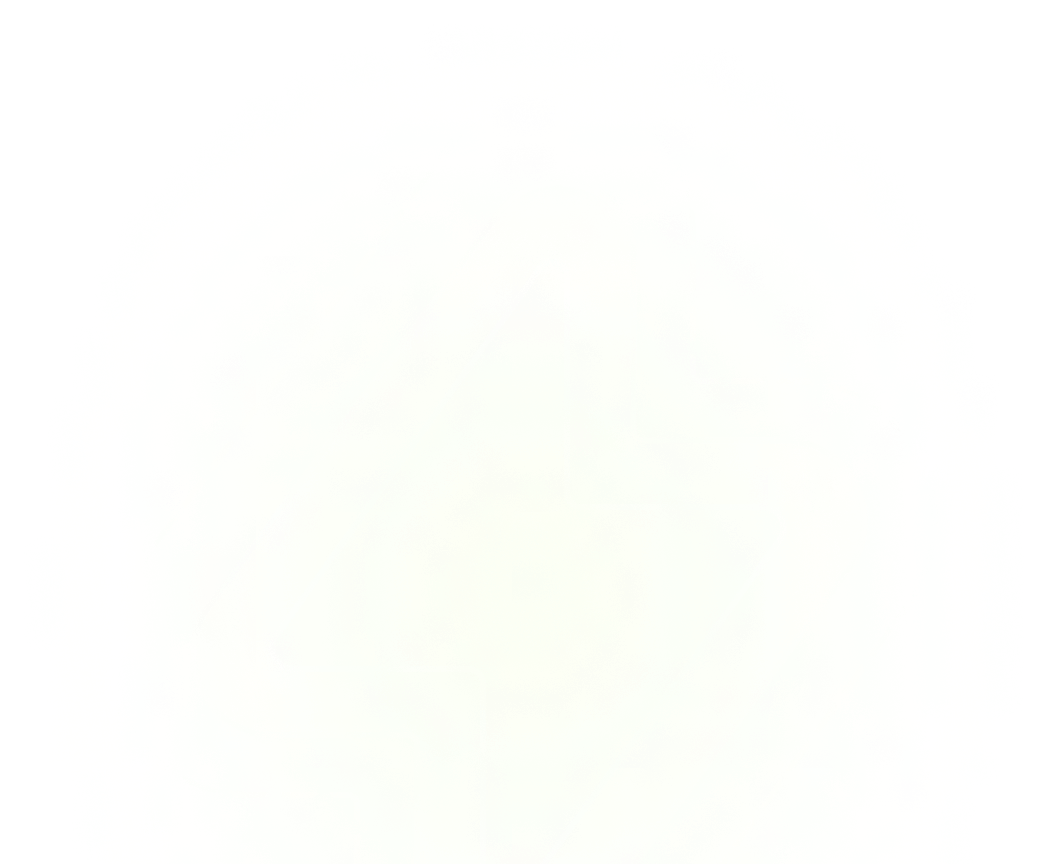 Velocidade Relâmpago
